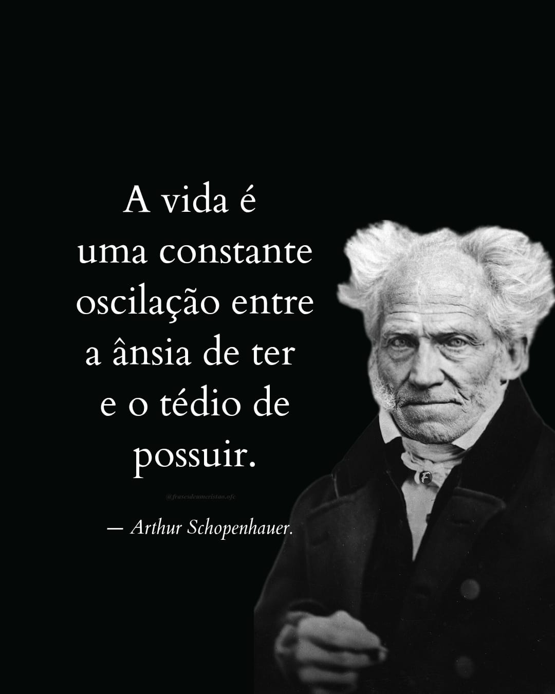 A vida é uma constante oscilação entre a ânsia de ter e o tédio de possuir. — Arthur Schopenhauer.